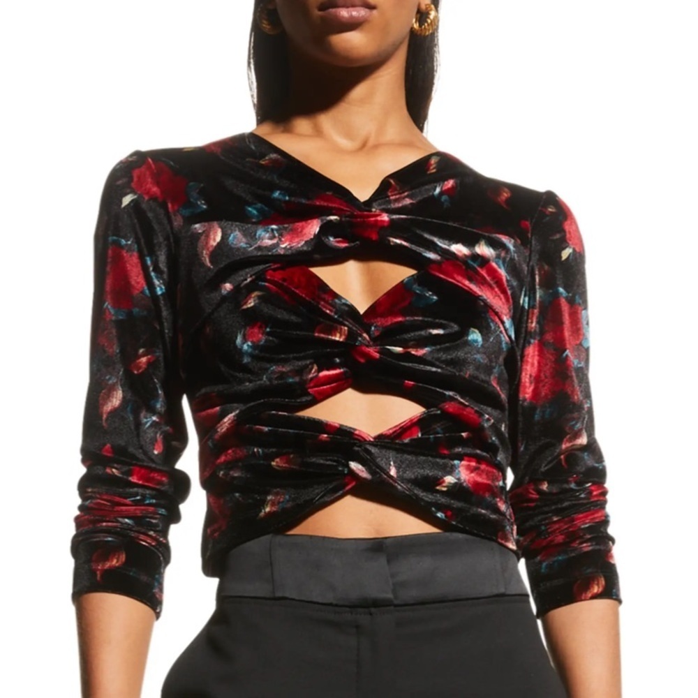 Autumn Adeigbo Rowenna Cutout Blouse velvet floral long sleeve crop 12